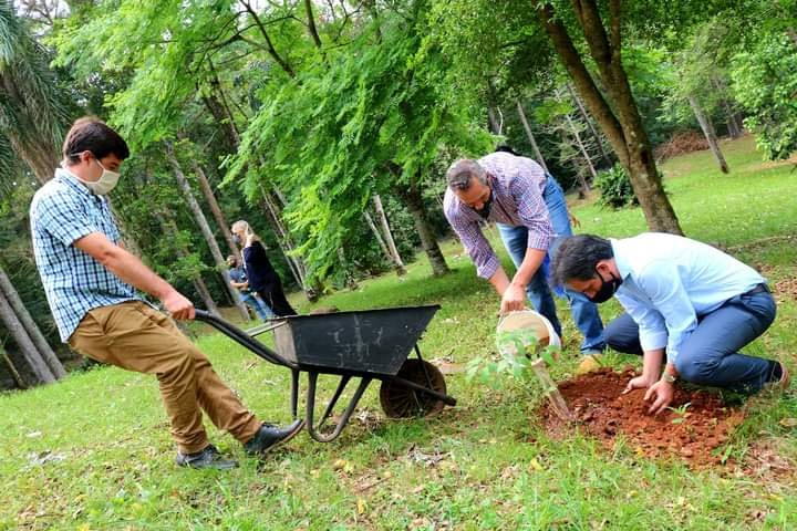 Lanzan a el programa Crece Selva Misionera de Fundación Hora de Obrar