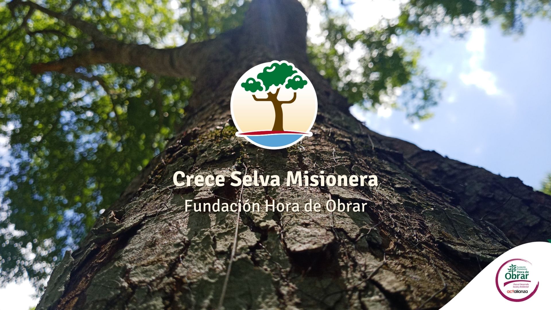 Crece Selva Misionera