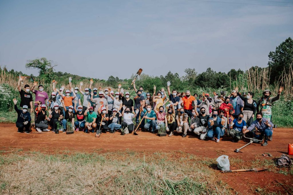 Plantación masiva en Eldorado Misiones